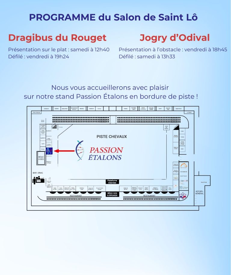 Salon des étalons de Saint Lô