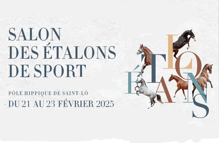 Promotion « salon des étalons de Saint Lô »